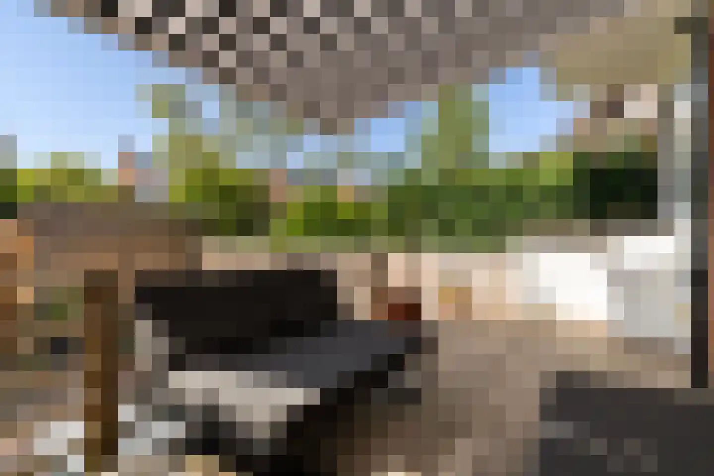 1e Vijverstraat 6 Rotterdam thumbnail 21