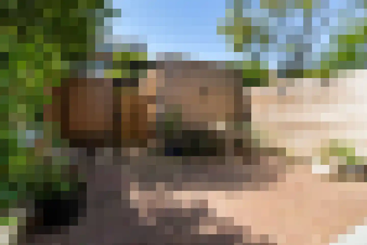 1e Vijverstraat 6 Rotterdam thumbnail 22