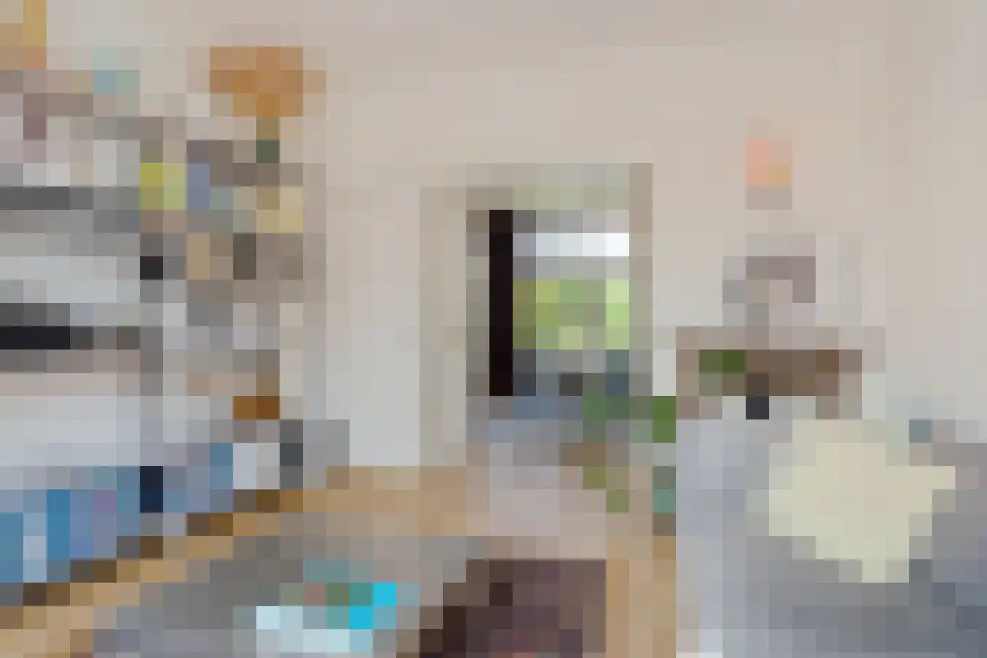 1e Virulystraat 6 B Rotterdam thumbnail 23