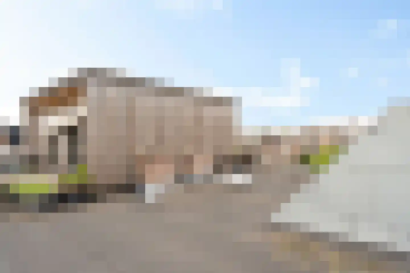 1e Virulystraat 6 B Rotterdam thumbnail 48