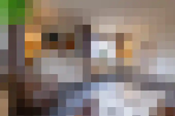 1e Vroonstraat 2 Den Helder thumbnail 7