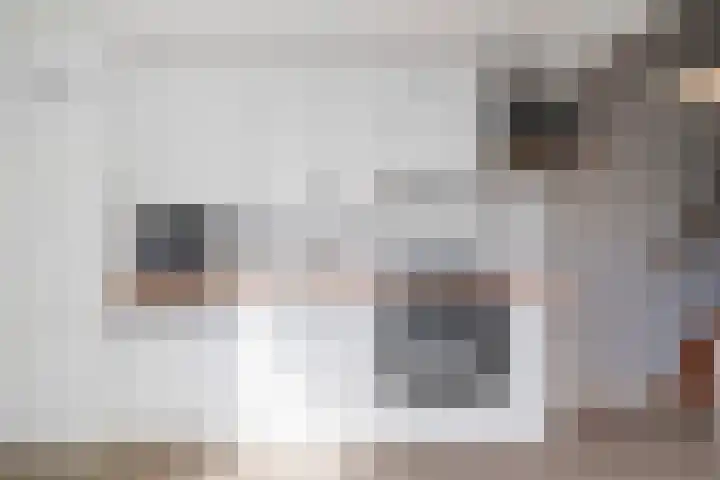 1e Vroonstraat 6 Den Helder thumbnail 12