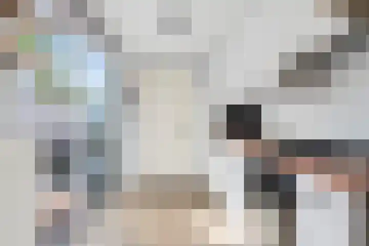 1e Vroonstraat 6 Den Helder thumbnail 13