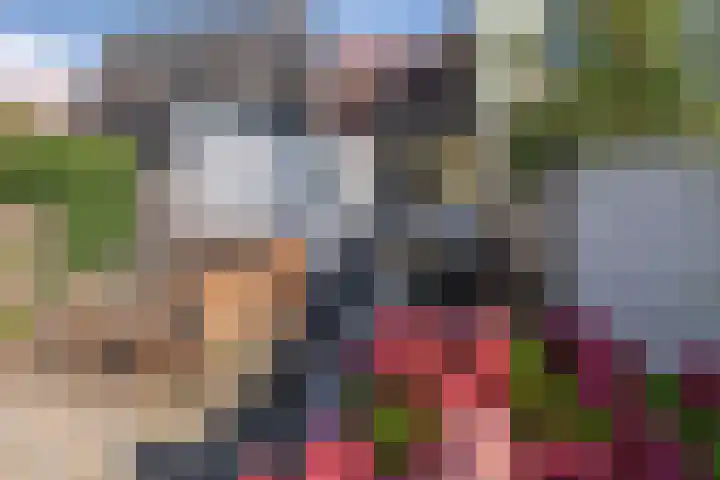 1e Vroonstraat 6 Den Helder thumbnail 17