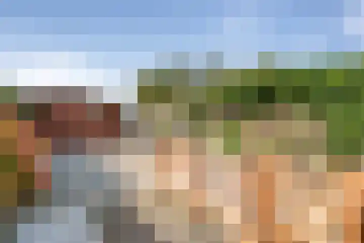 1e Vroonstraat 6 Den Helder thumbnail 20