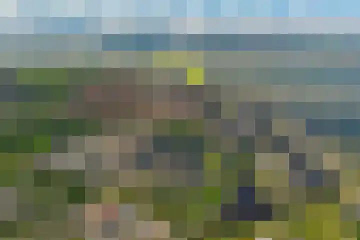 1e Vroonstraat 6 Den Helder thumbnail 4