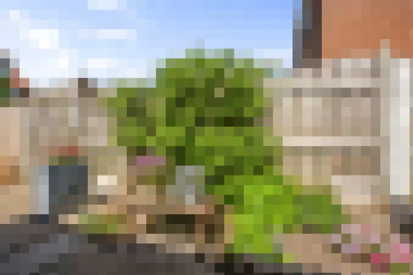 1e Vroonstraat 80 Den Helder thumbnail 21