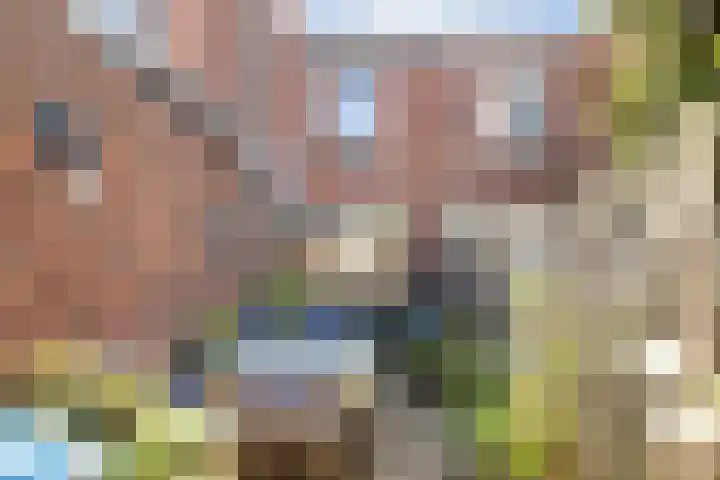 1e Weerdsweg 102 Deventer thumbnail 15