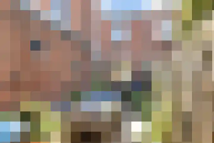 1e Weerdsweg 102 Deventer thumbnail 16