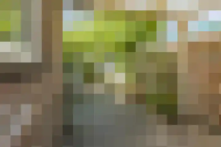 1e Weerdsweg 135 Deventer thumbnail 16