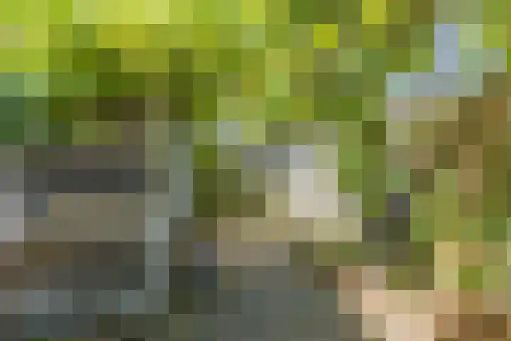 1e Weerdsweg 135 Deventer thumbnail 17