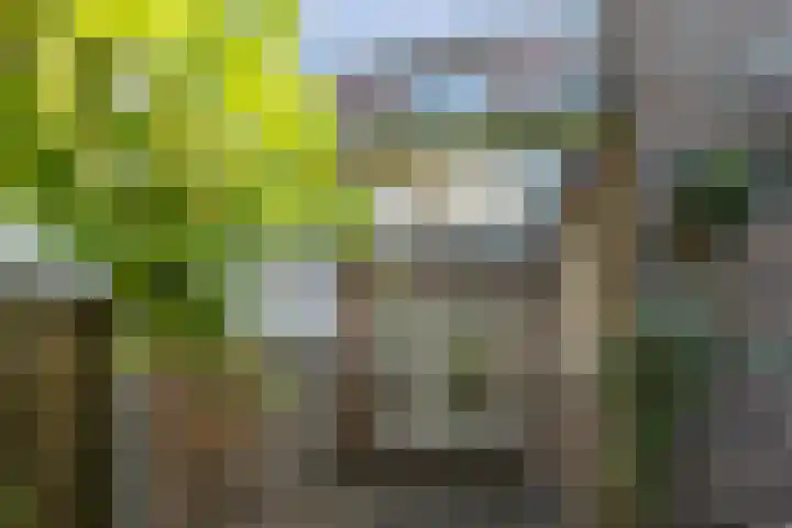 1e Weerdsweg 135 Deventer thumbnail 18