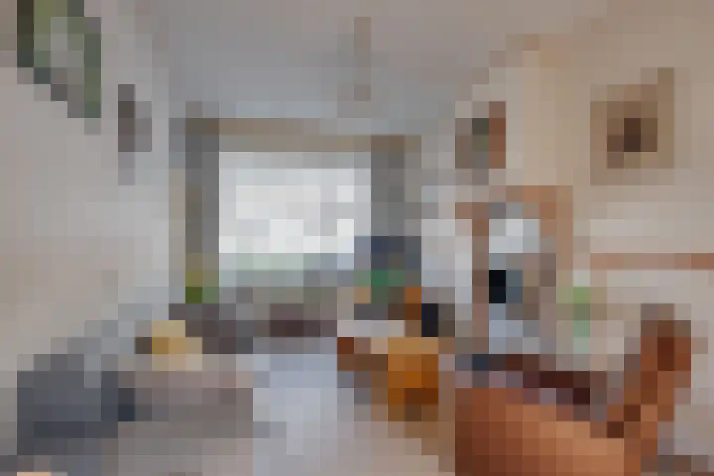 1e Weerdsweg 43 Deventer thumbnail 11