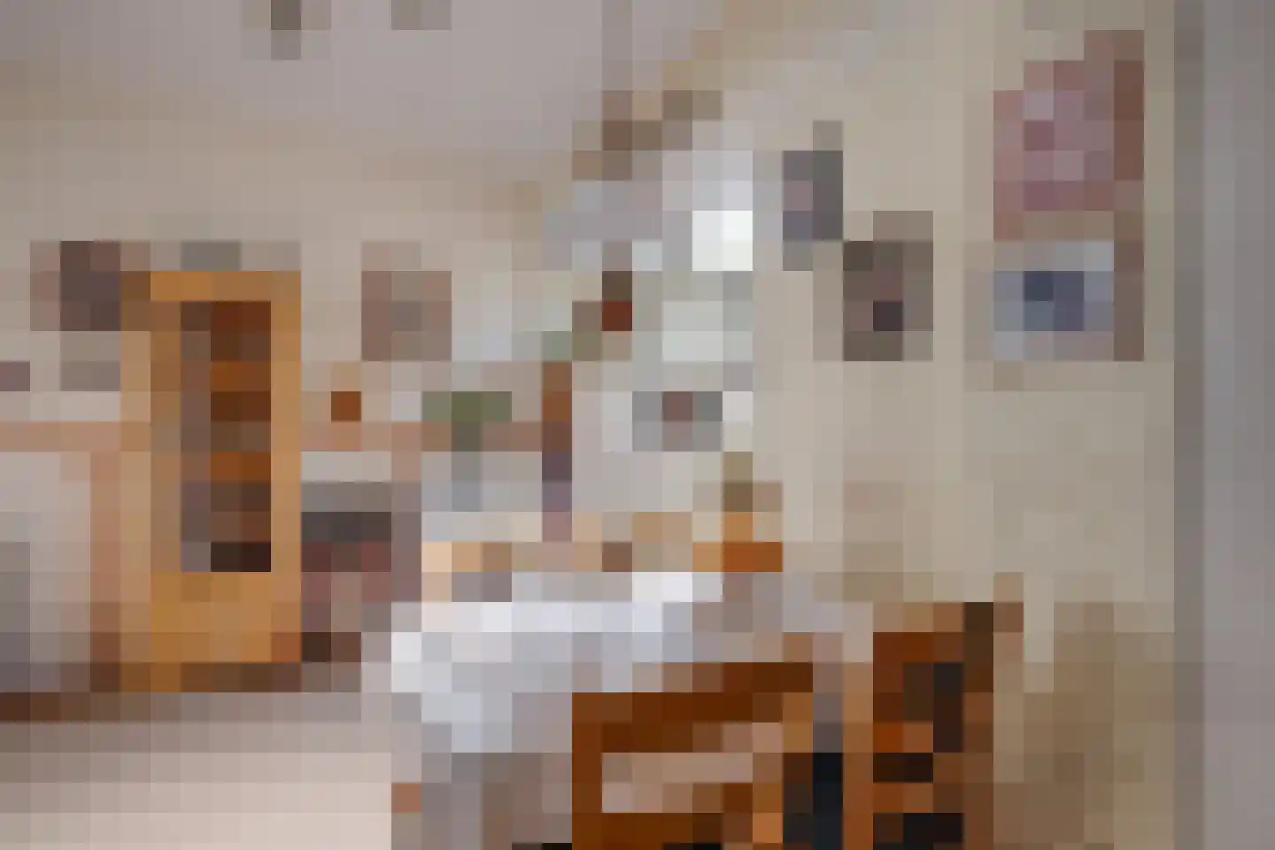 1e Weerdsweg 43 Deventer thumbnail 14