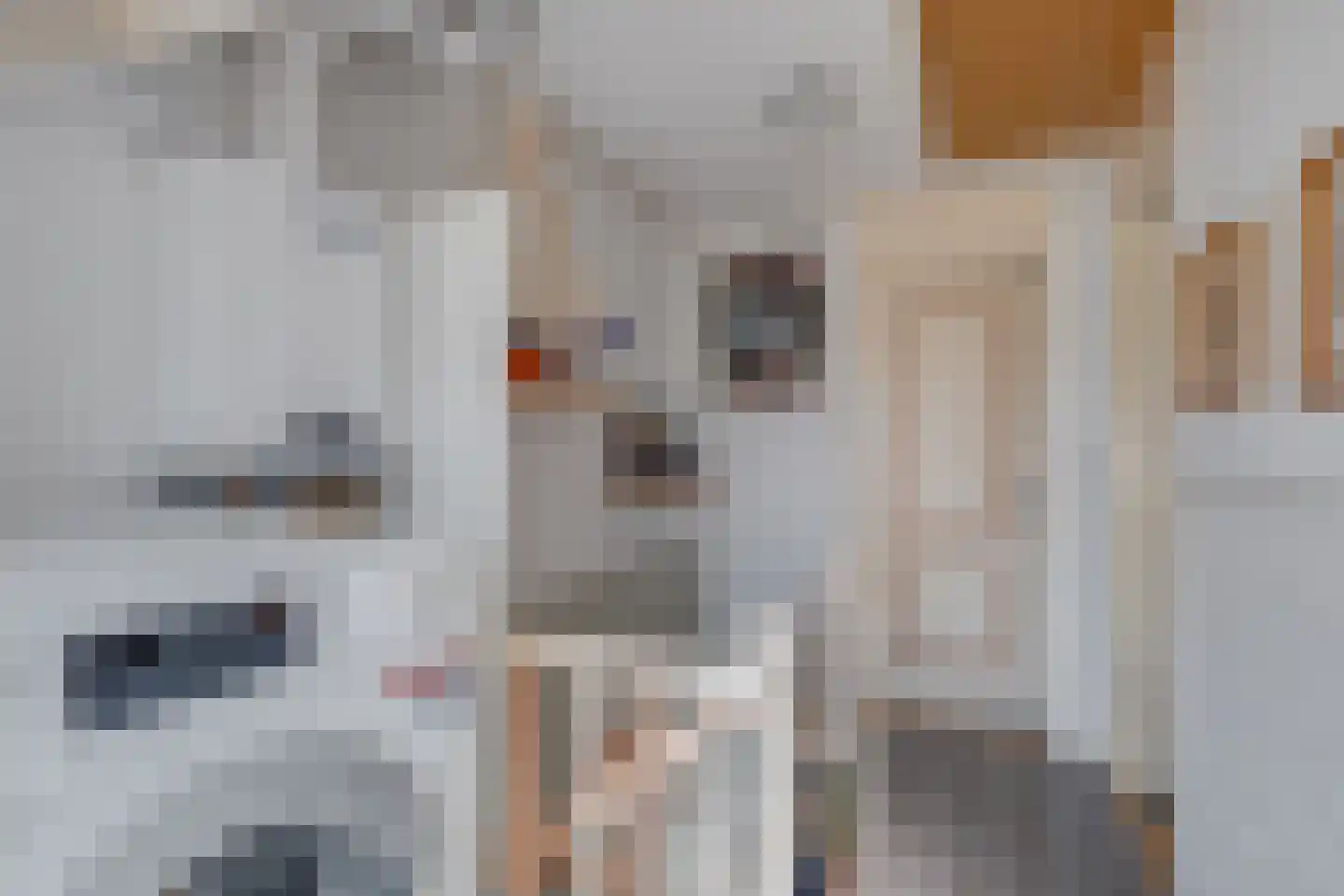 1e Weerdsweg 43 Deventer thumbnail 29