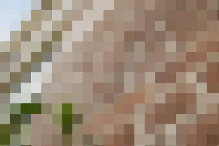 1e Weerdsweg 45 Deventer thumbnail 14