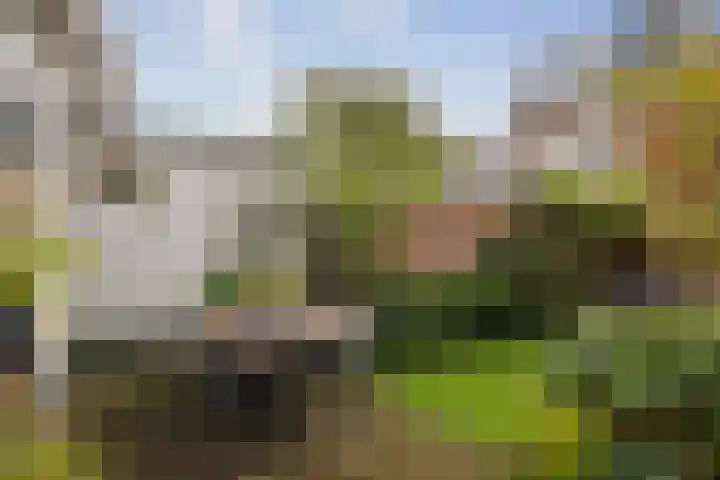 1e Weerdsweg 45 Deventer thumbnail 16