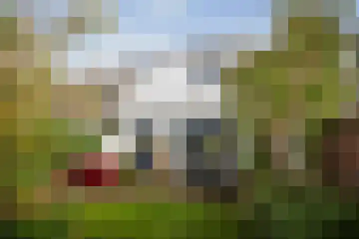 1e Weerdsweg 45 Deventer thumbnail 18