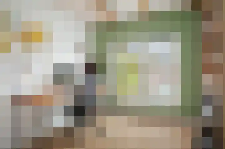 1e Weerdsweg 45 Deventer thumbnail 21