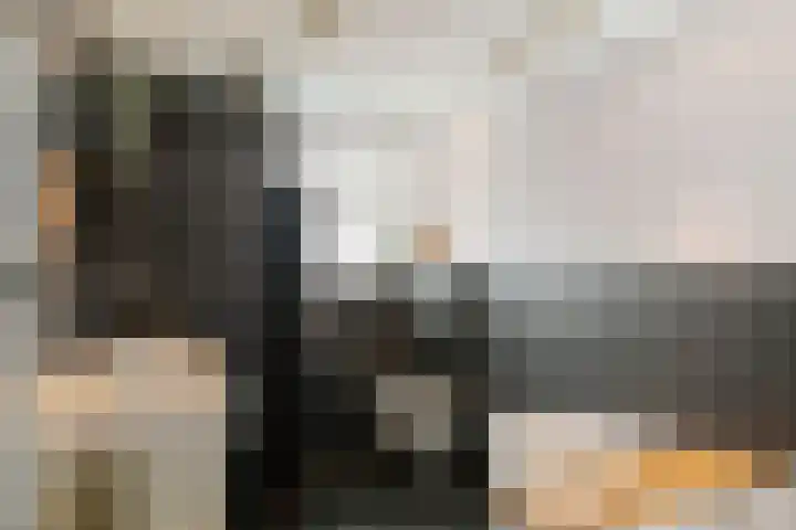 1e Weerdsweg 45 Deventer thumbnail 22