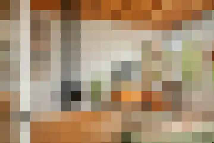 1e Weerdsweg 45 Deventer thumbnail 4