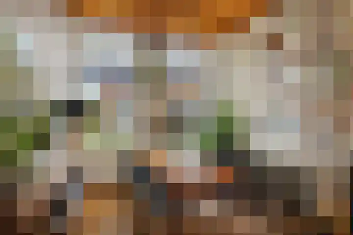 1e Weerdsweg 45 Deventer thumbnail 5