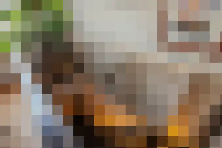 1e Weerdsweg 45 Deventer thumbnail 9