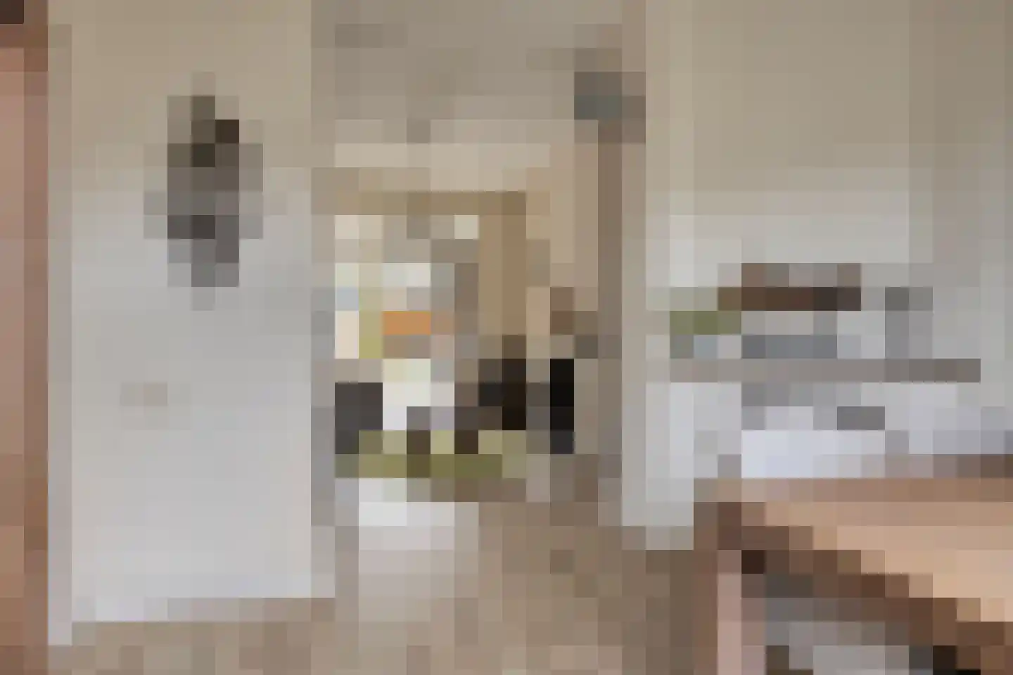 1e Weerdsweg 48 Deventer thumbnail 13