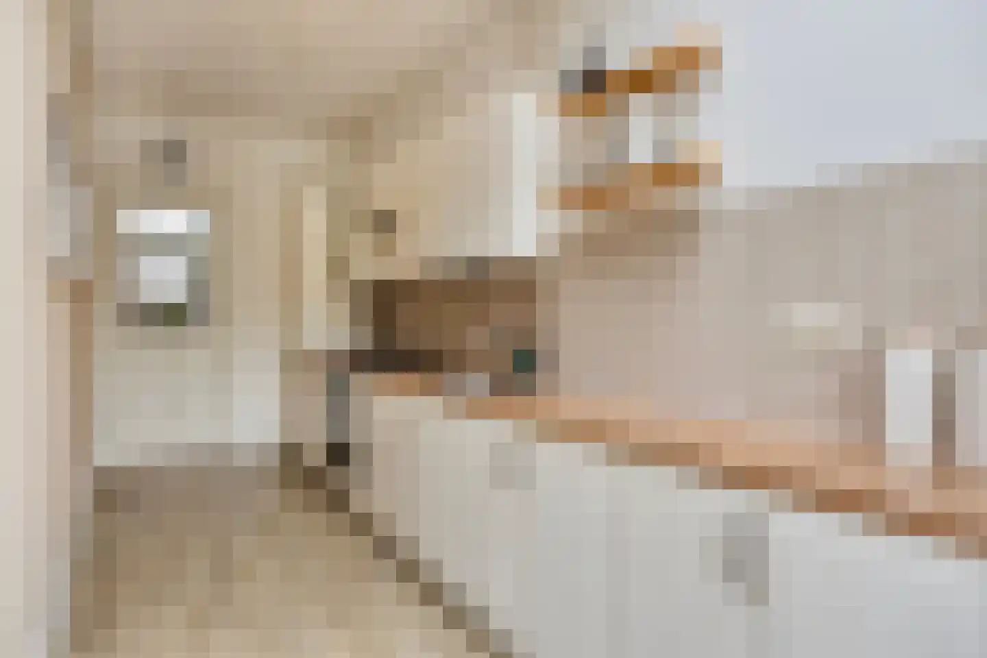 1e Weerdsweg 48 Deventer thumbnail 18