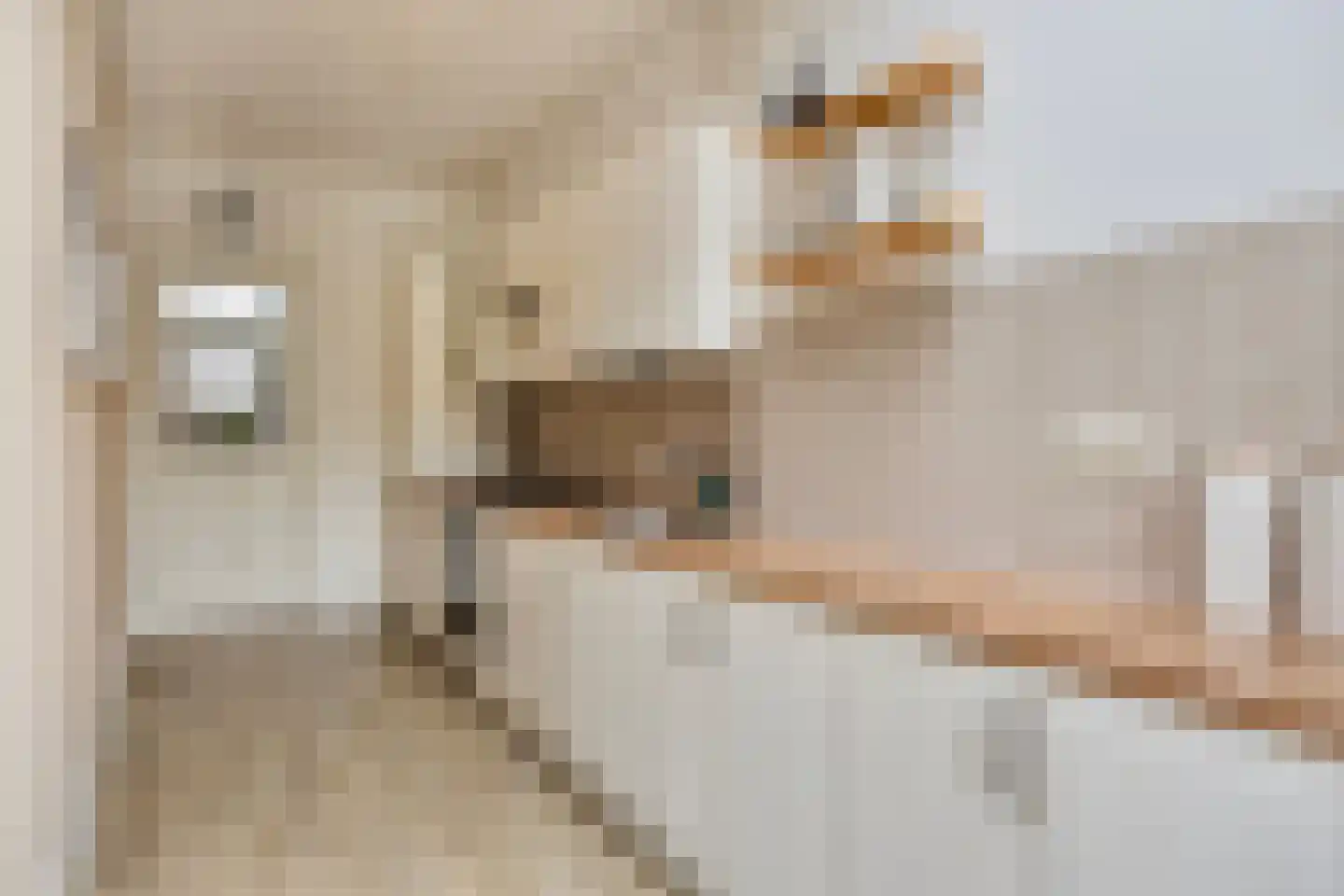 1e Weerdsweg 48 Deventer thumbnail 18
