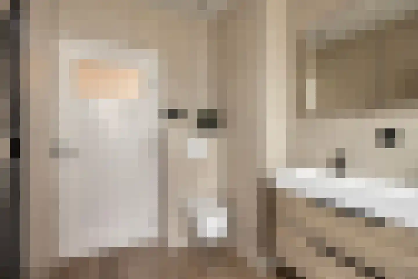 1e Weerdsweg 48 Deventer thumbnail 28