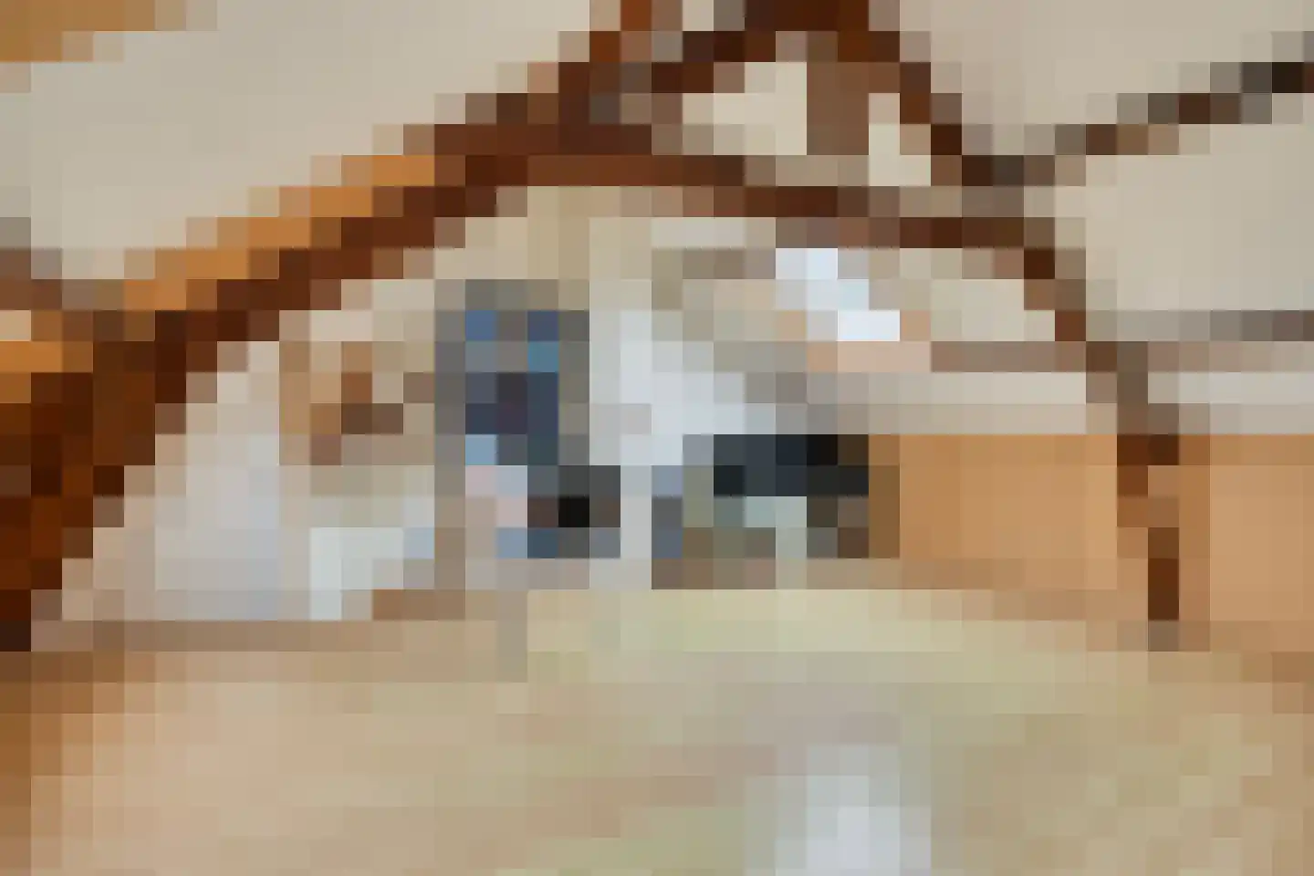 1e Weerdsweg 48 Deventer thumbnail 31