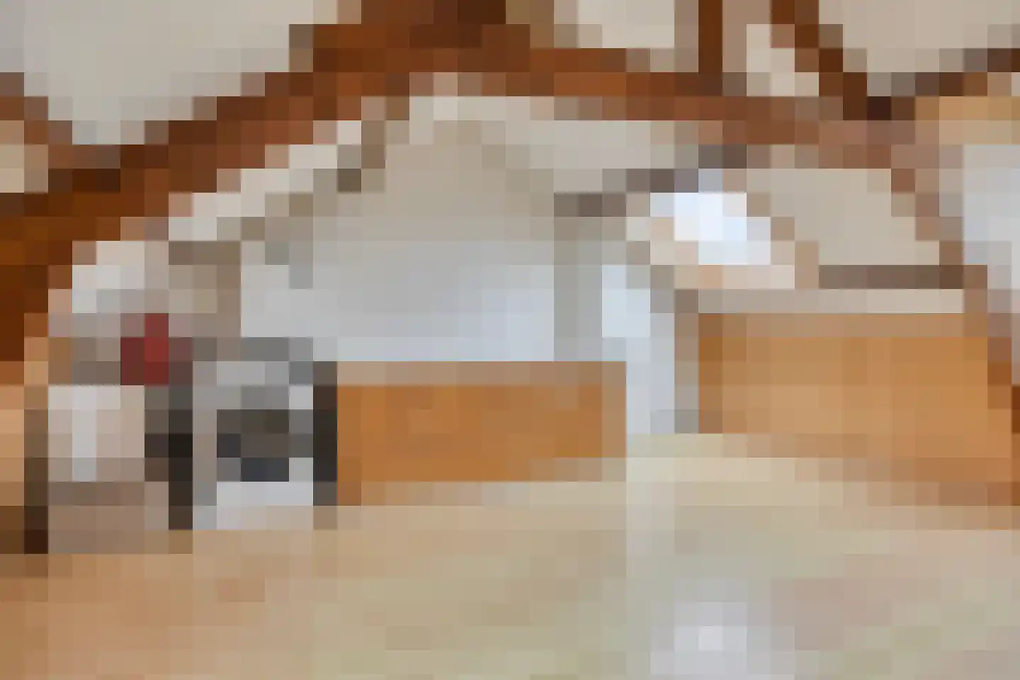 1e Weerdsweg 48 Deventer thumbnail 32