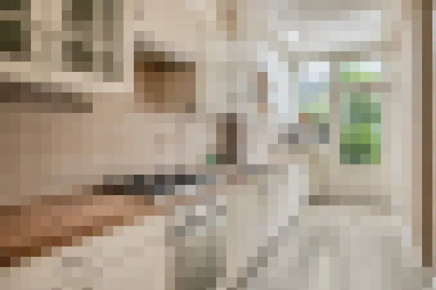 1e Weerdsweg 48 Deventer thumbnail 4