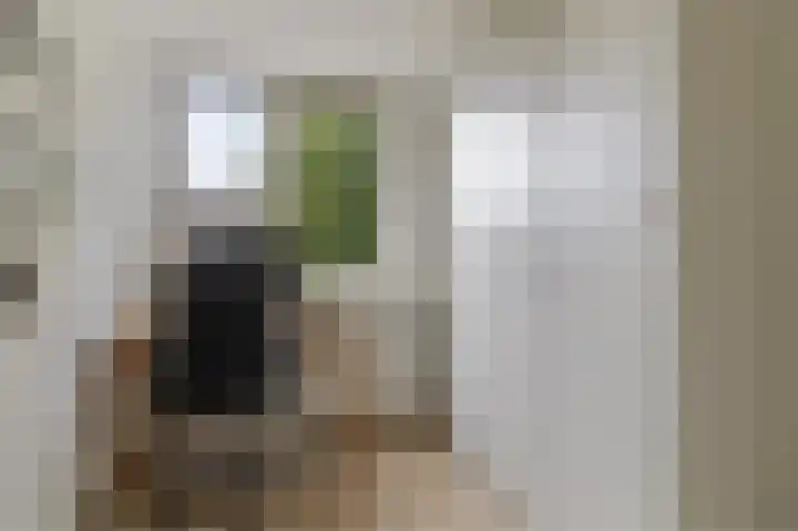 1e Weerdsweg 80 Deventer thumbnail 21