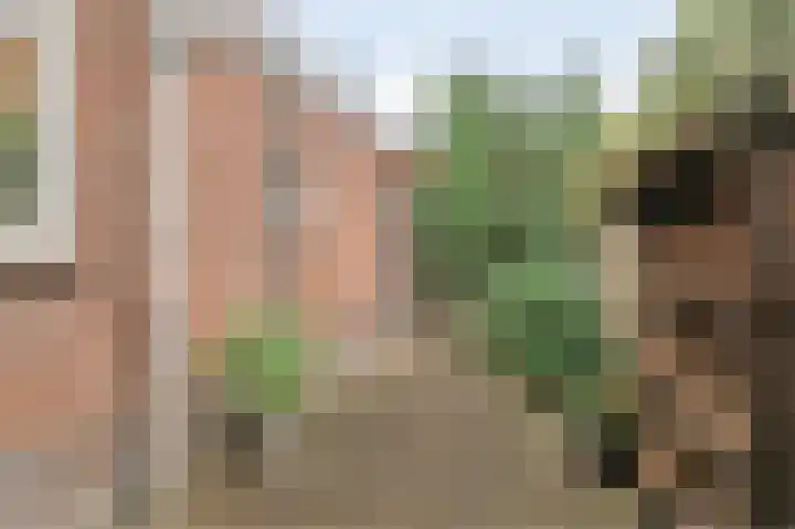 1e Weerdsweg 80 Deventer thumbnail 23