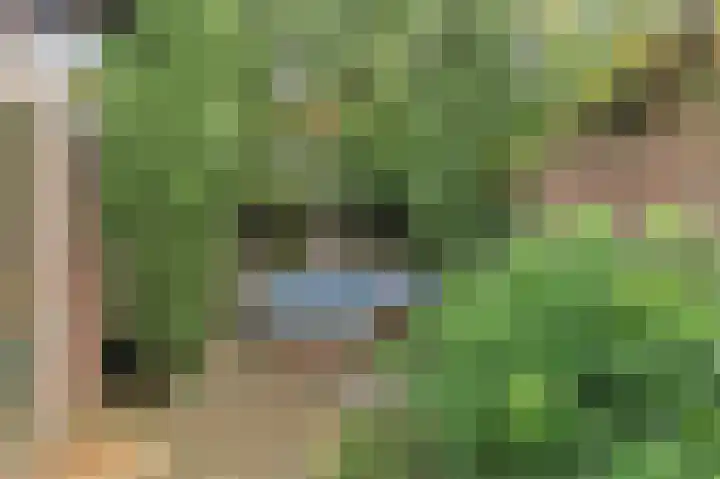1e Weerdsweg 80 Deventer thumbnail 24