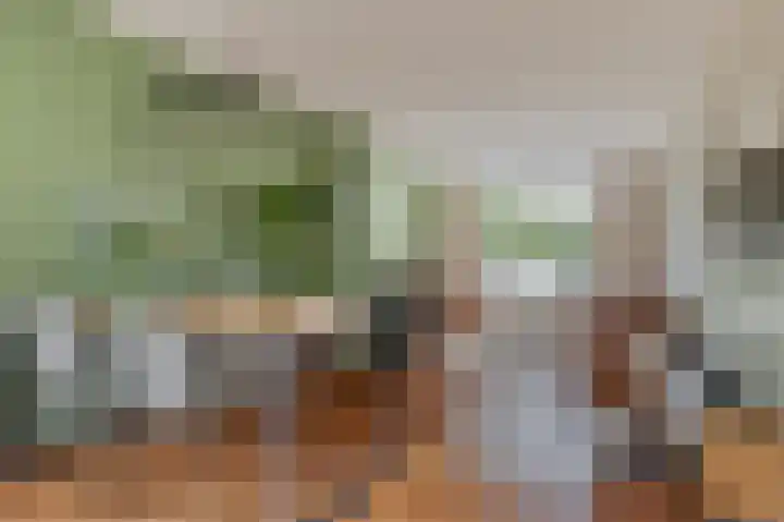 1e Weerdsweg 80 Deventer thumbnail 7