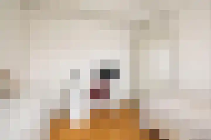 1e Weerdsweg 89 Deventer thumbnail 24