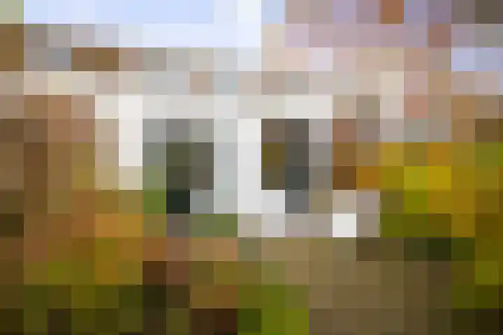 1e Weerdsweg 89 Deventer thumbnail 29