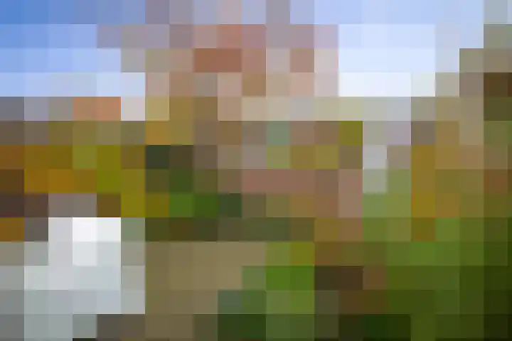 1e Weerdsweg 89 Deventer thumbnail 30