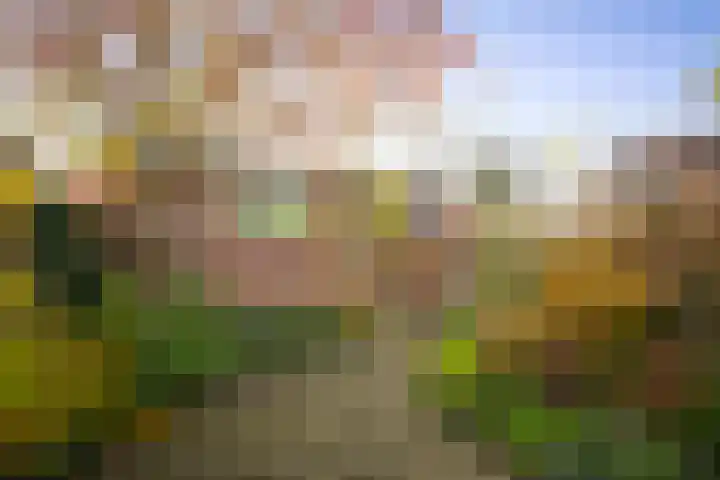 1e Weerdsweg 89 Deventer thumbnail 31
