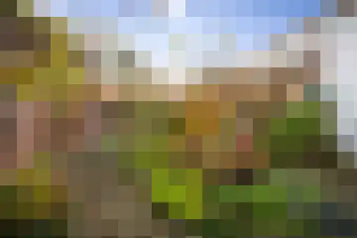 1e Weerdsweg 89 Deventer thumbnail 32