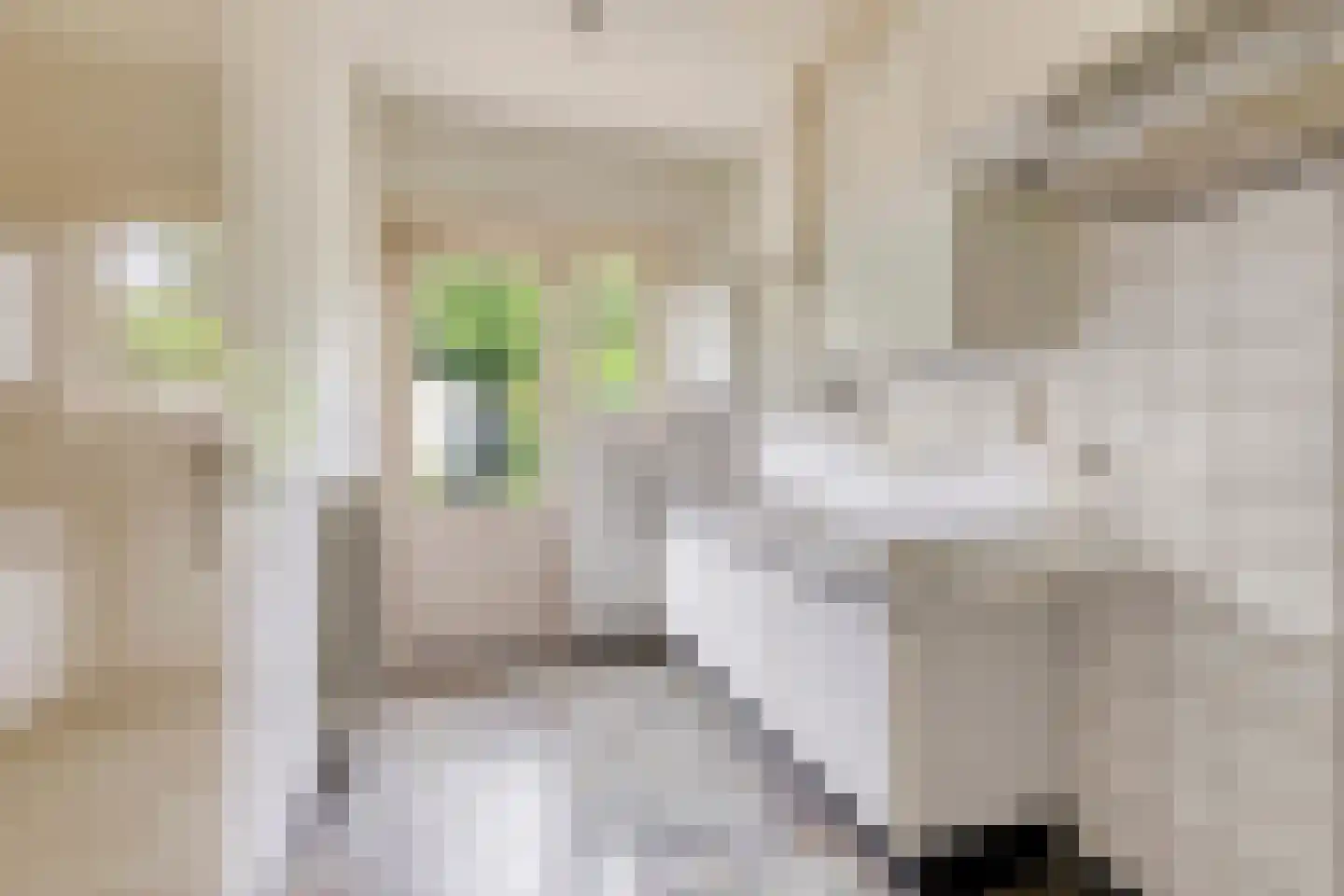 1e Wilakkersstraat 23 Eindhoven thumbnail 10