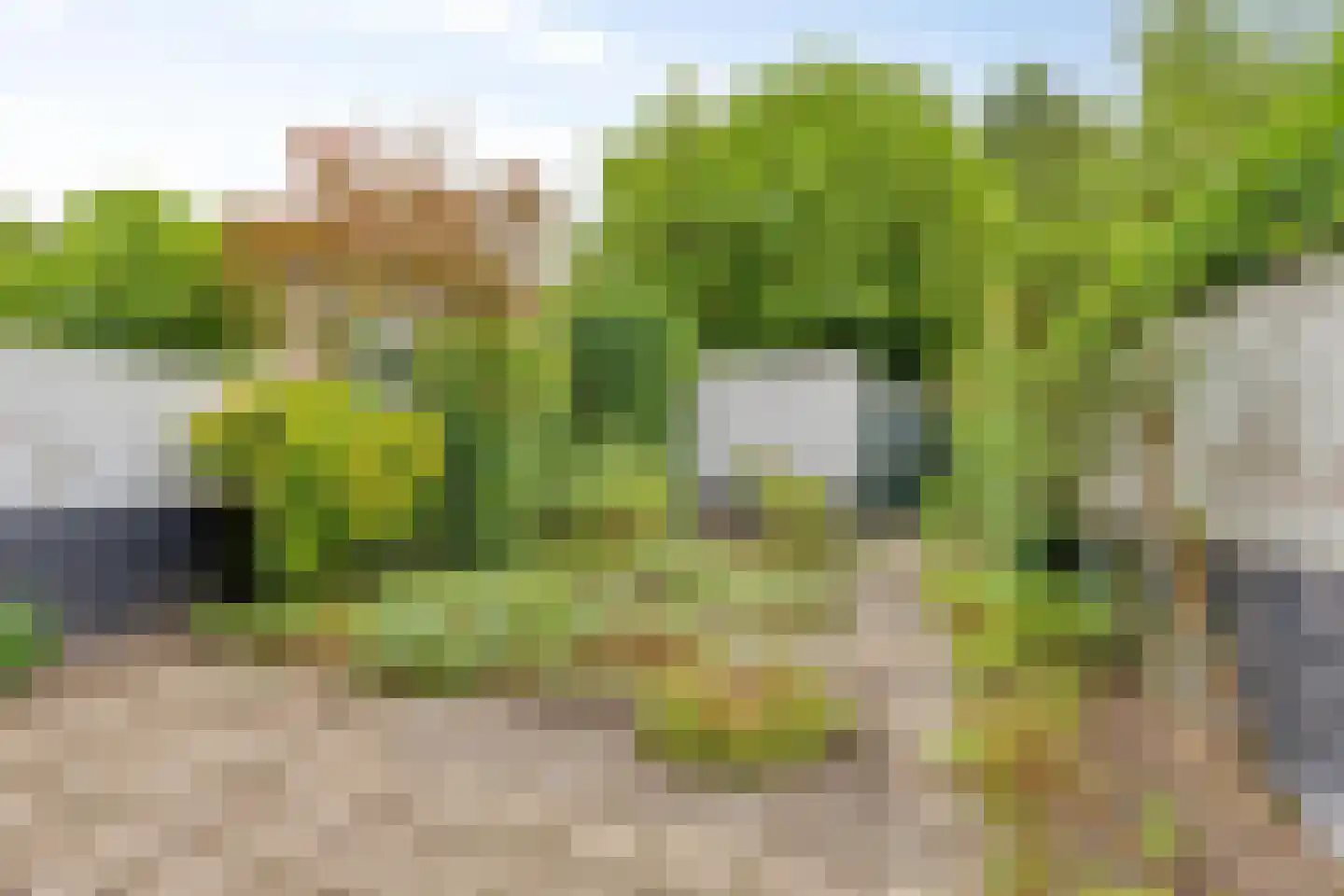 1e Wilakkersstraat 23 Eindhoven thumbnail 23