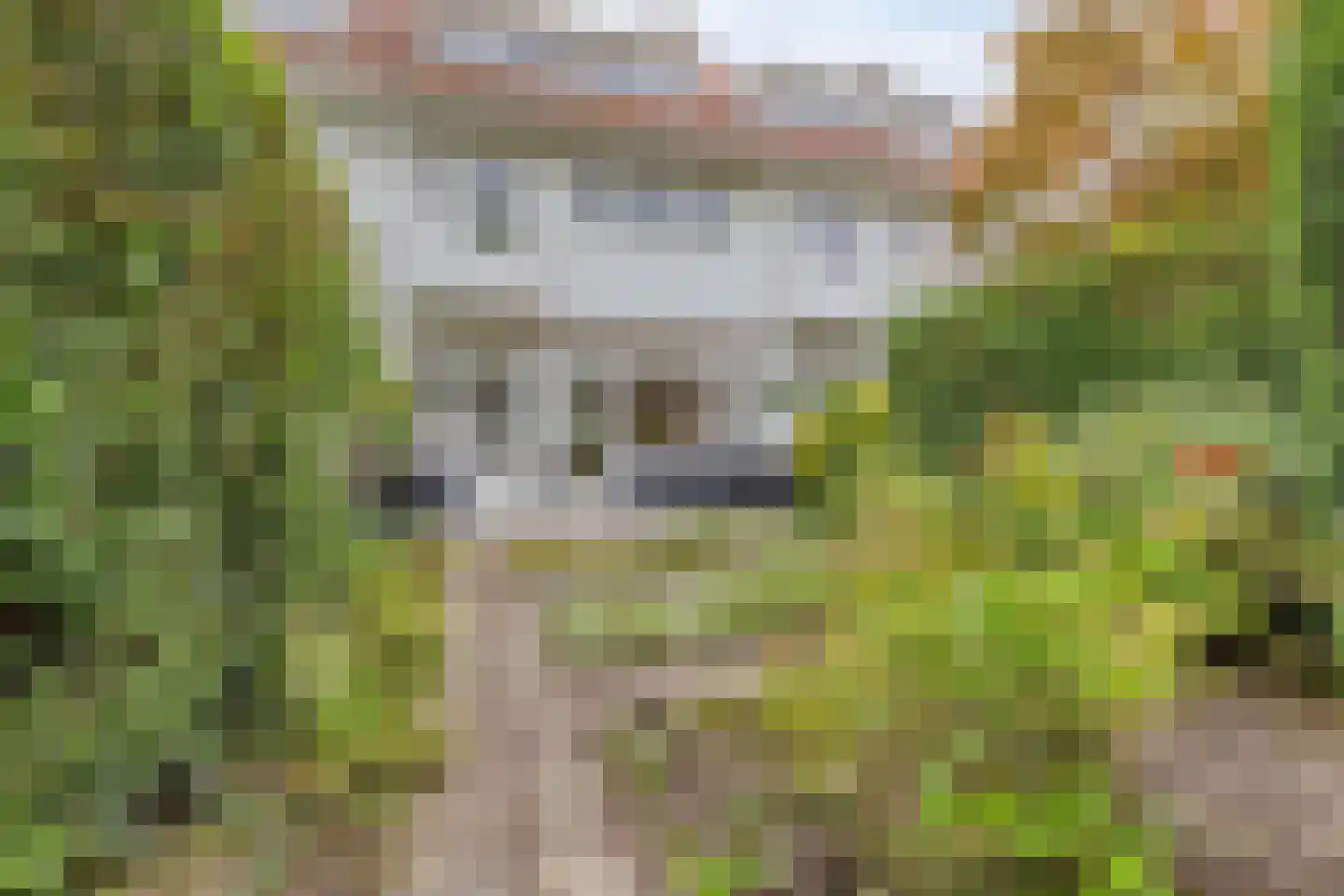 1e Wilakkersstraat 23 Eindhoven thumbnail 24