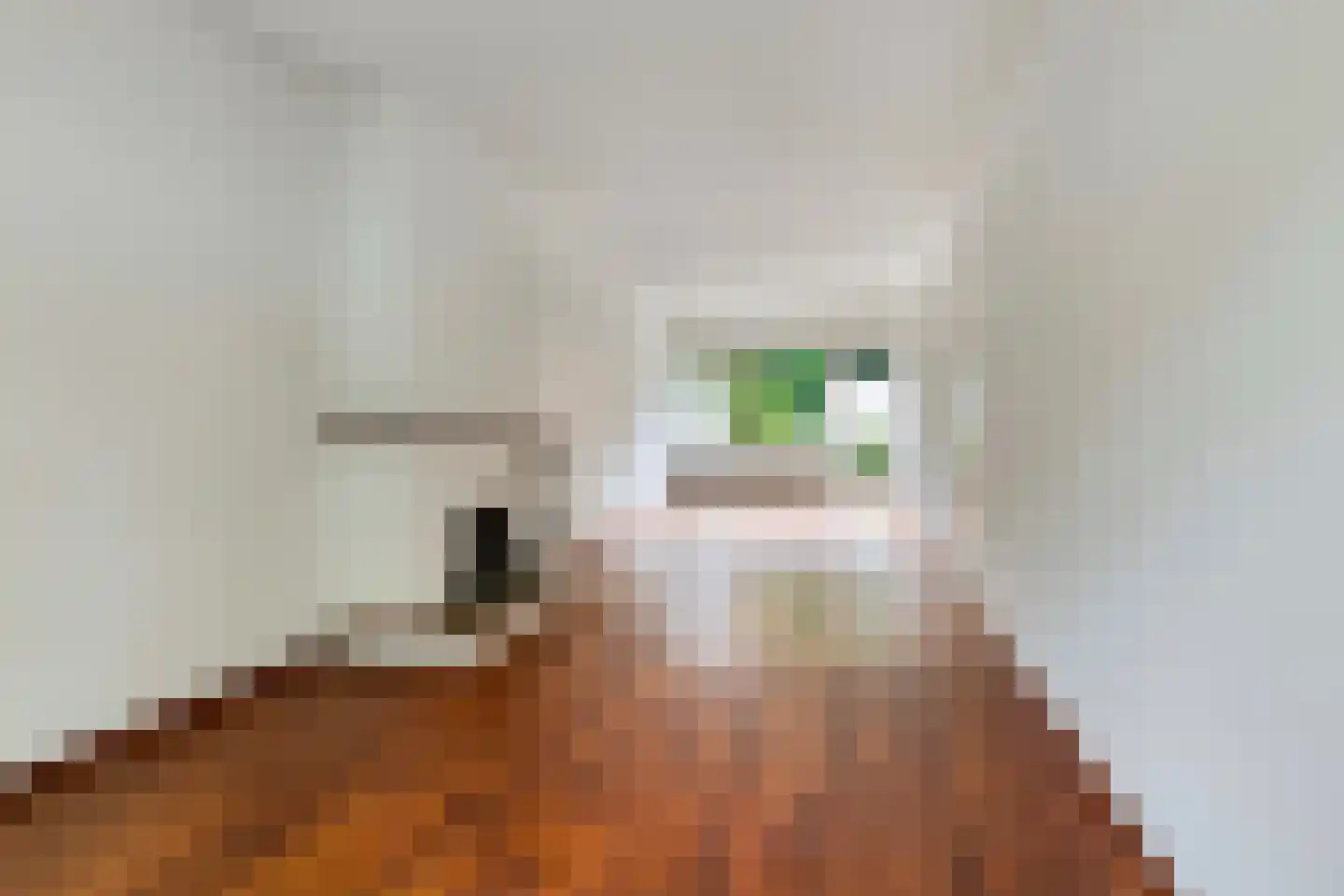 1e Wilakkersstraat 23 Eindhoven thumbnail 7