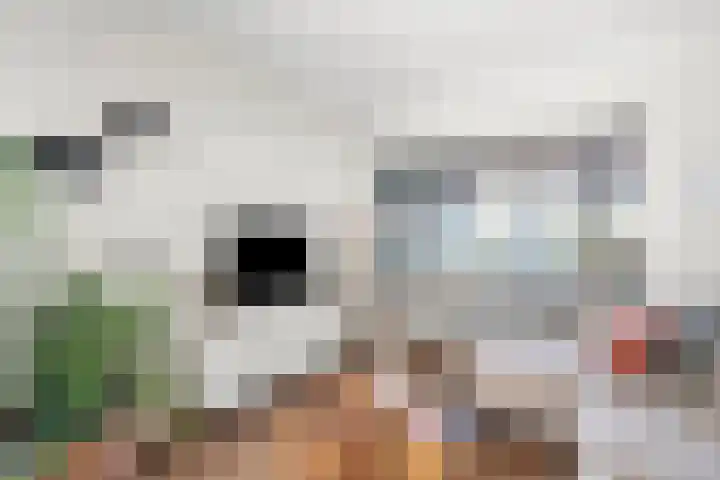1e Wilakkersstraat 31 Eindhoven thumbnail 17