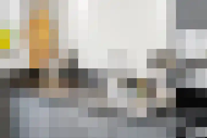 1e Wilakkersstraat 31 Eindhoven thumbnail 28