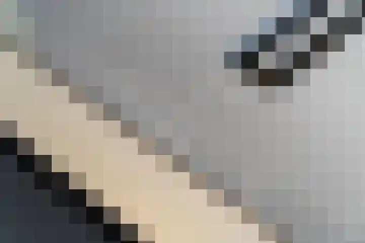 1e Wilakkersstraat 31 Eindhoven thumbnail 30